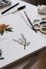 Load image into Gallery viewer, BOTANICAL ART ATELIER - BATHURST ART FAIR
